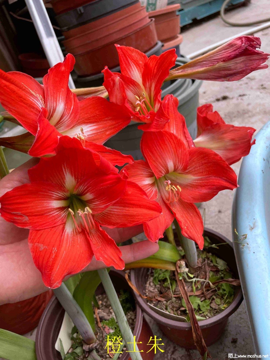 ������240405 (2).JPG