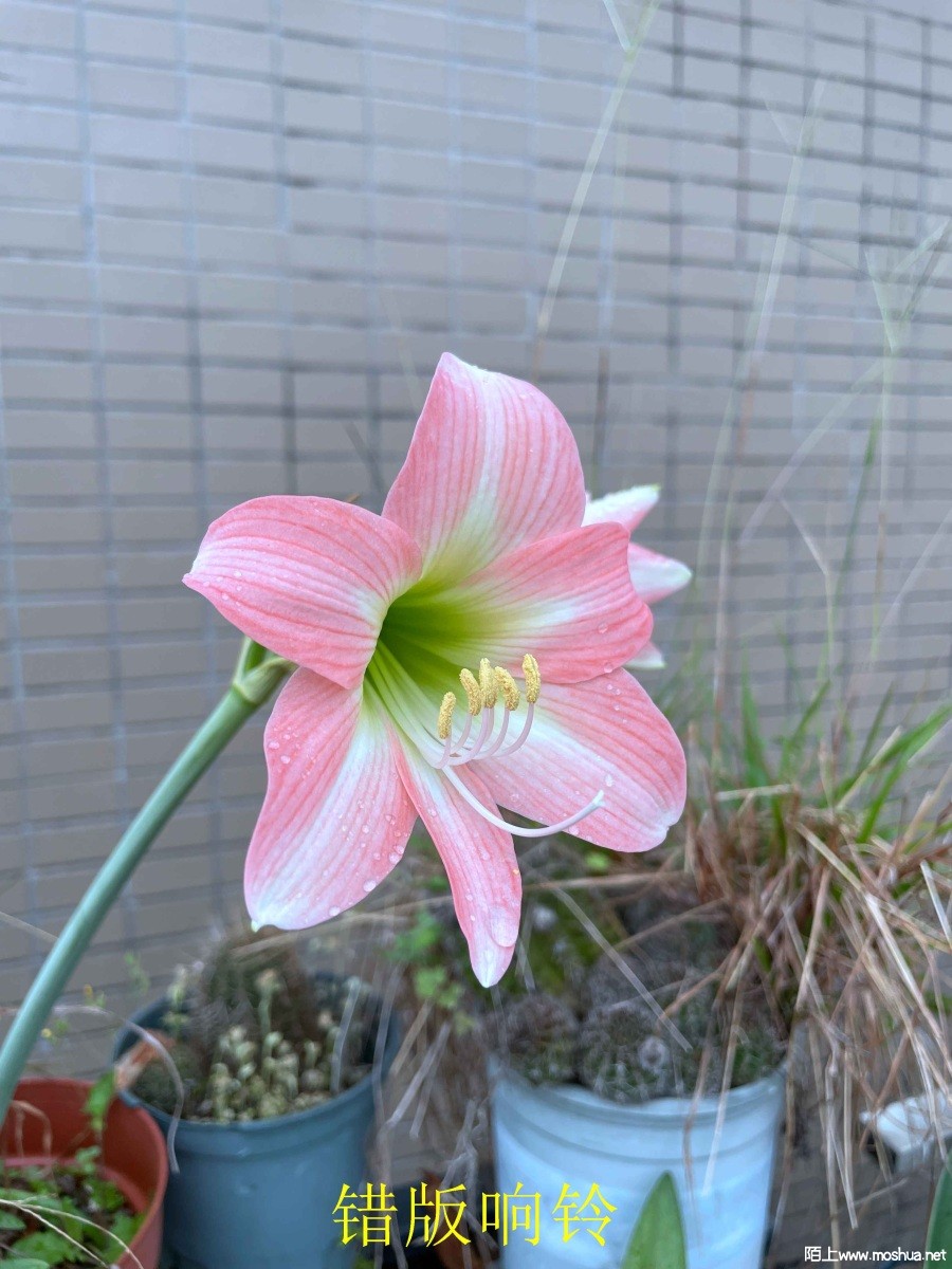 ��������240404 (2).JPG