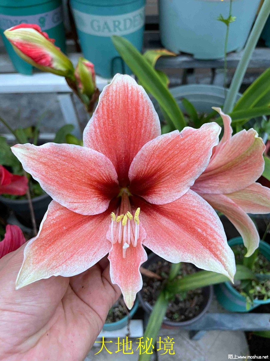 ����ؾ�240330 (2).JPG