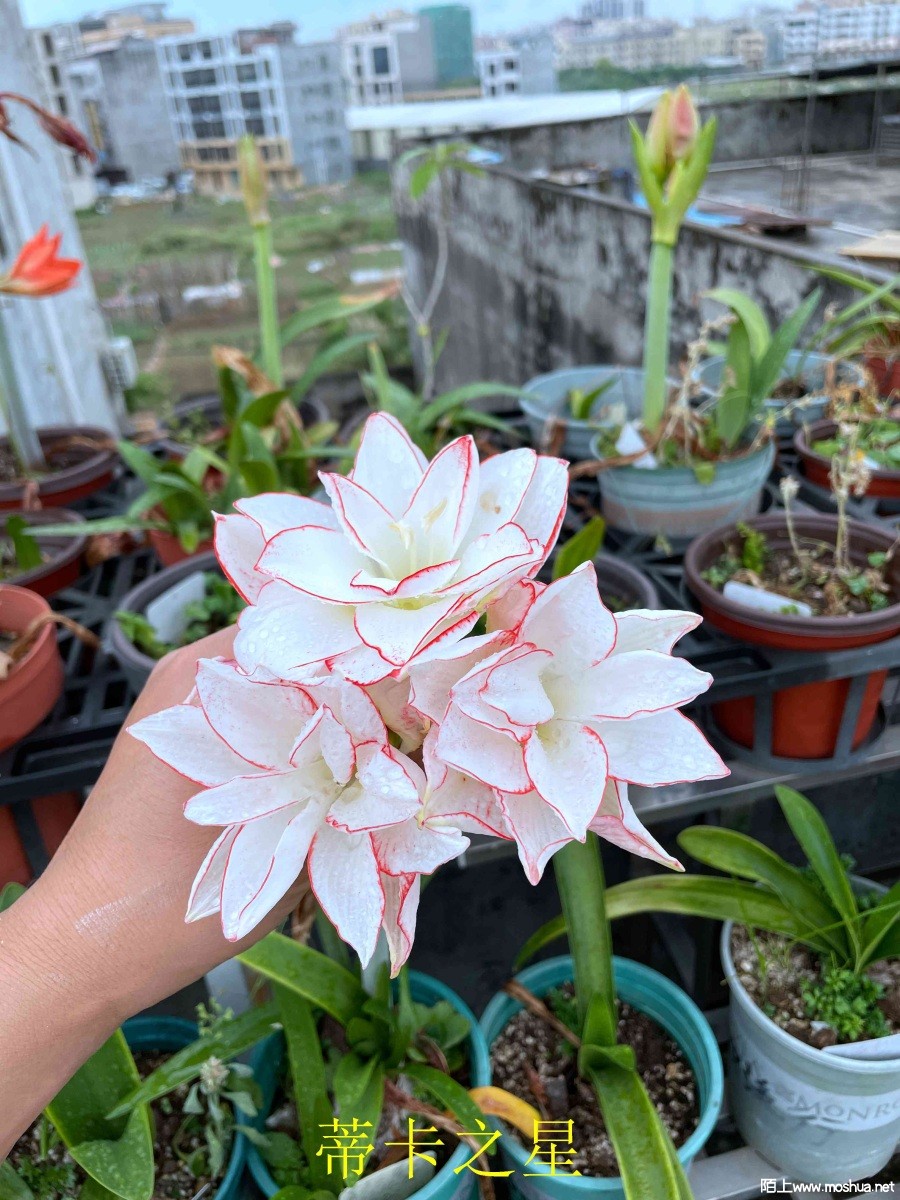 �ٿ�֮��240404 (2).JPG