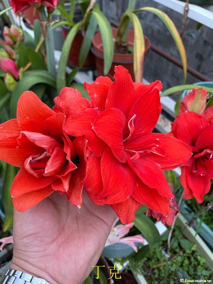 ����240330 (2).JPG