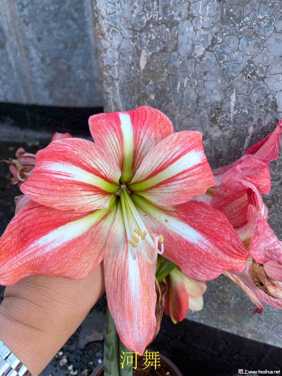 ����240507 (2).JPG