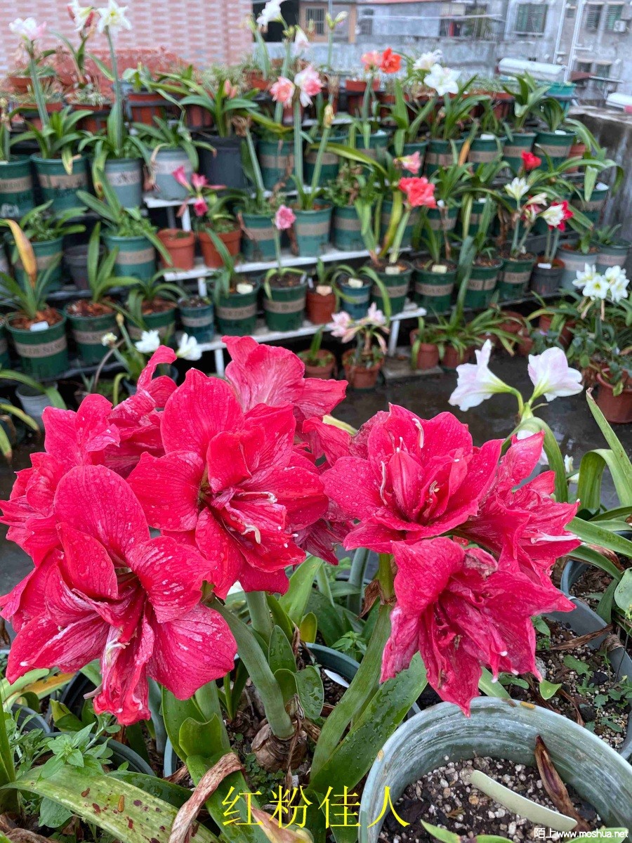 ��ۼ���240405 (2).JPG