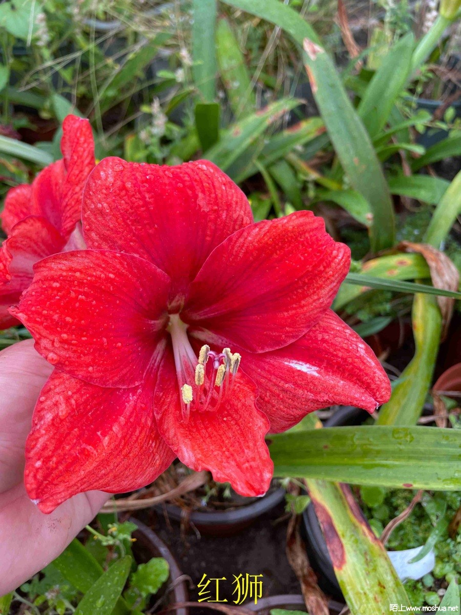 ��ʨ240404 (2).JPG