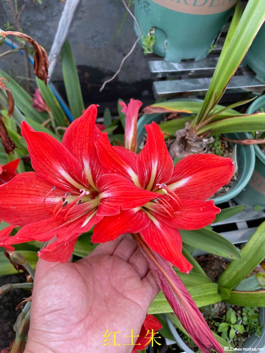 ������240330 (2).JPG