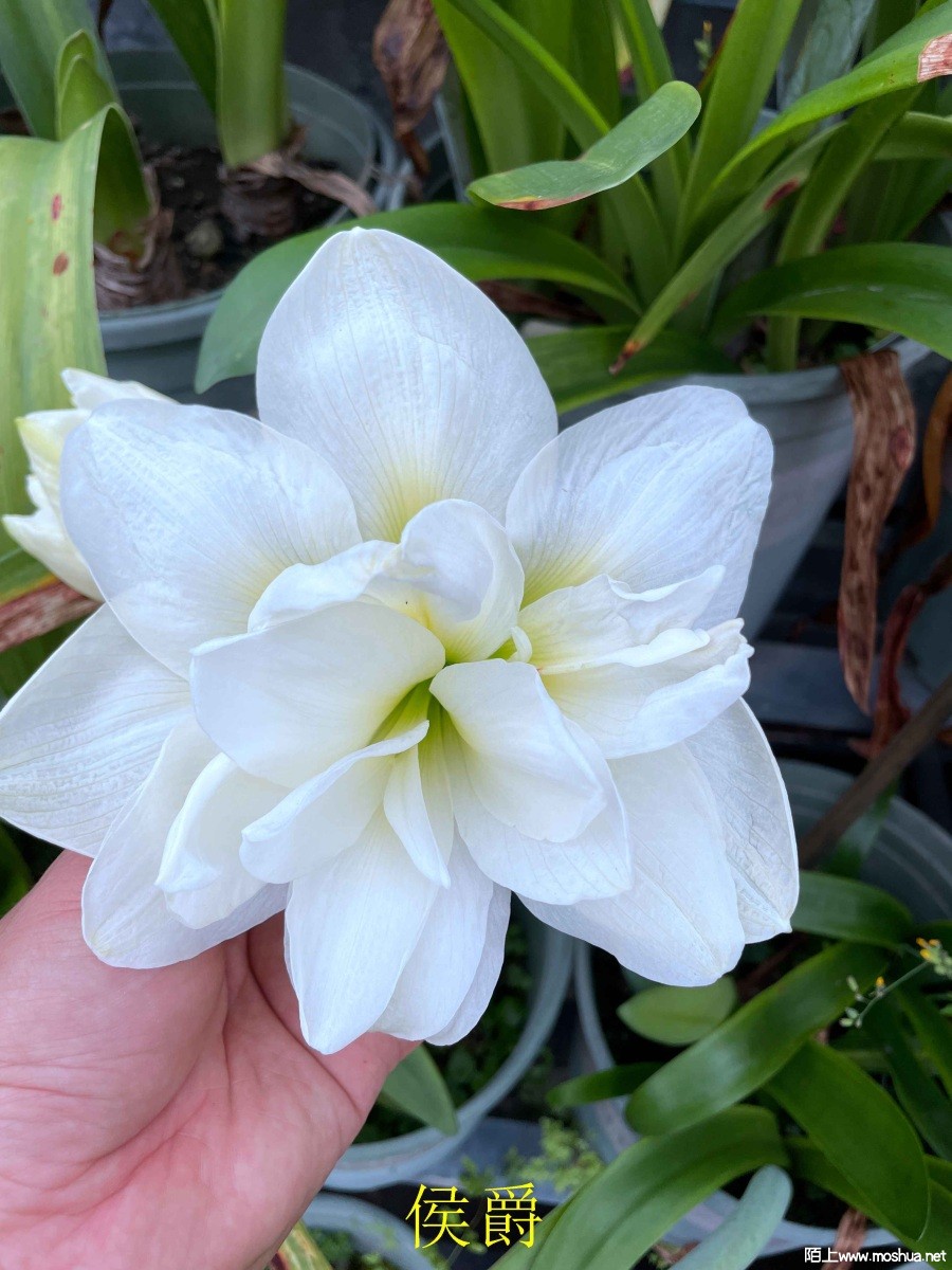 ���240330 (2).JPG