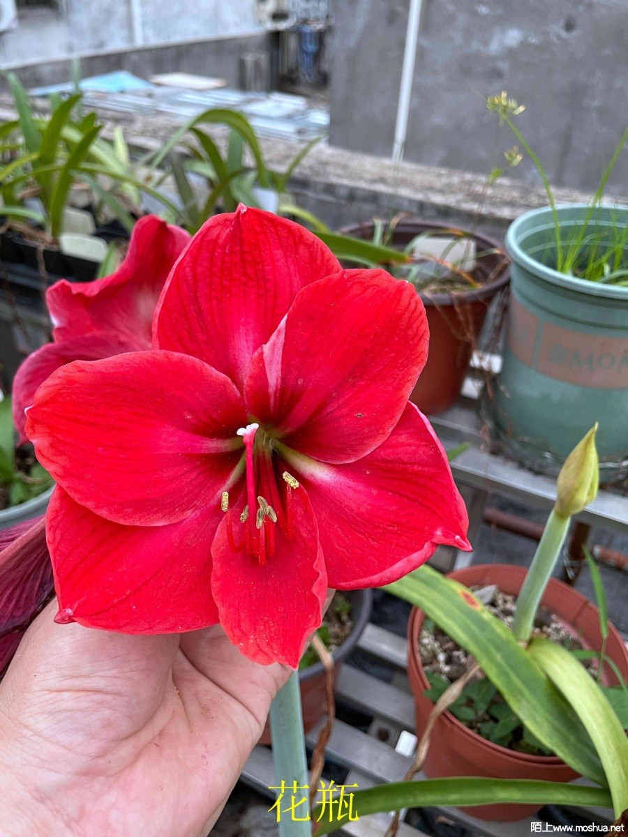 ��ƿ240330 (2).JPG