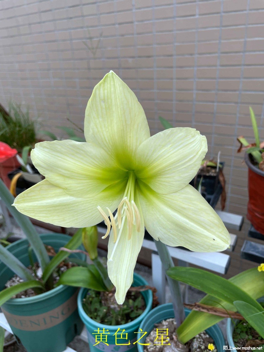 ��ɫ֮��240405 (2).JPG