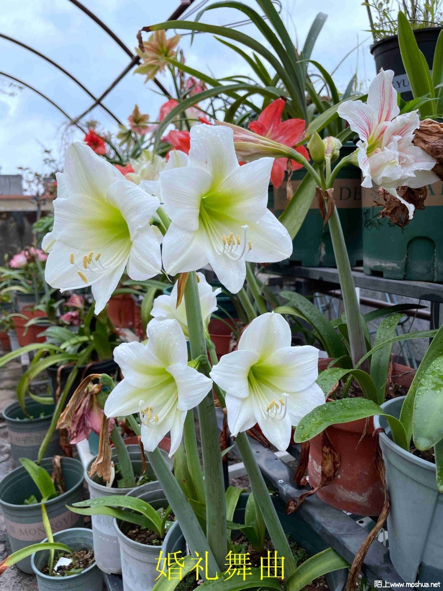 ��������240404 (2).JPG