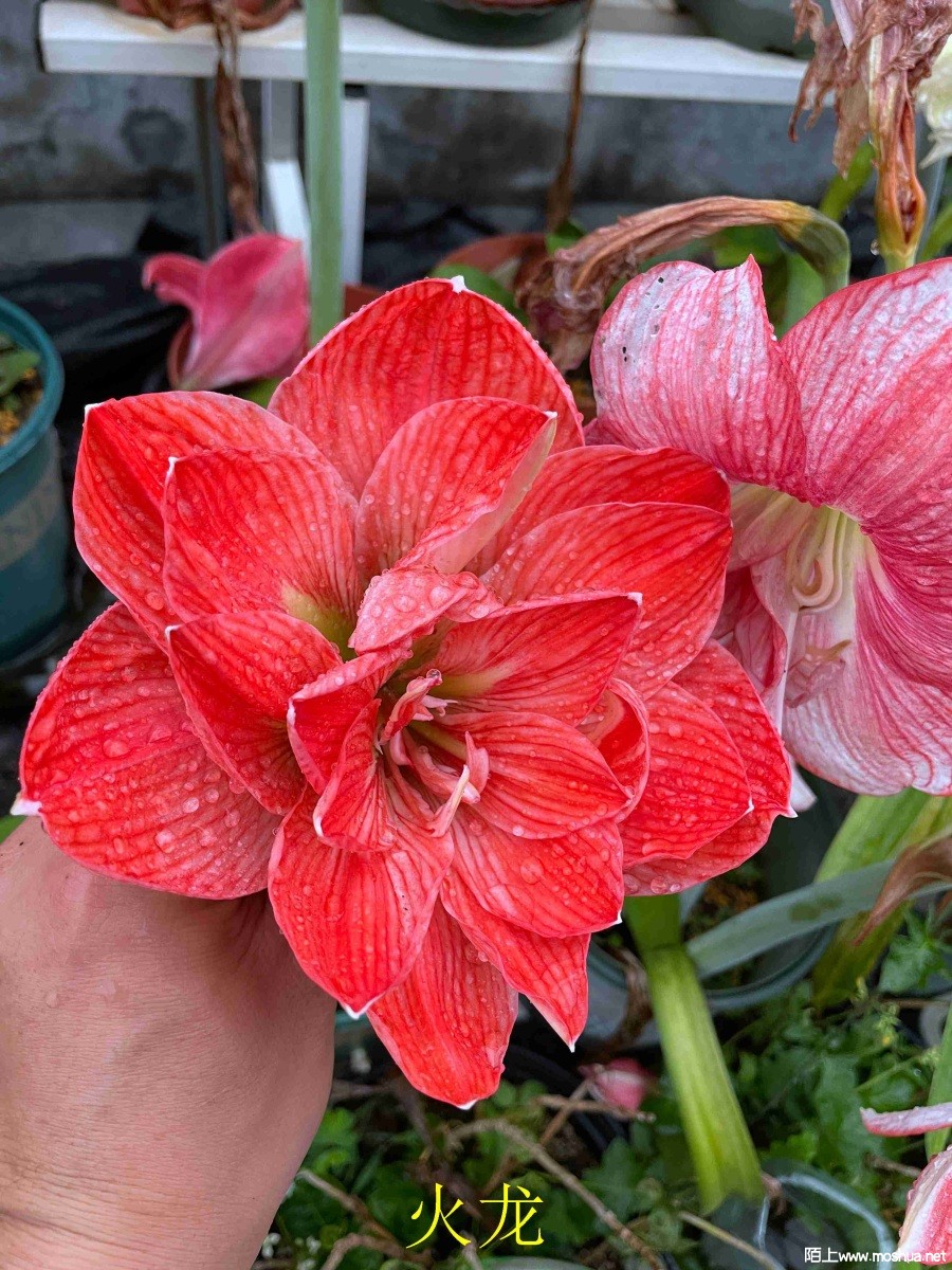 ����240406 (2).JPG