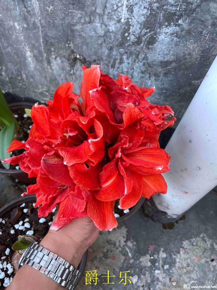 ��ʿ��240507 (2).JPG