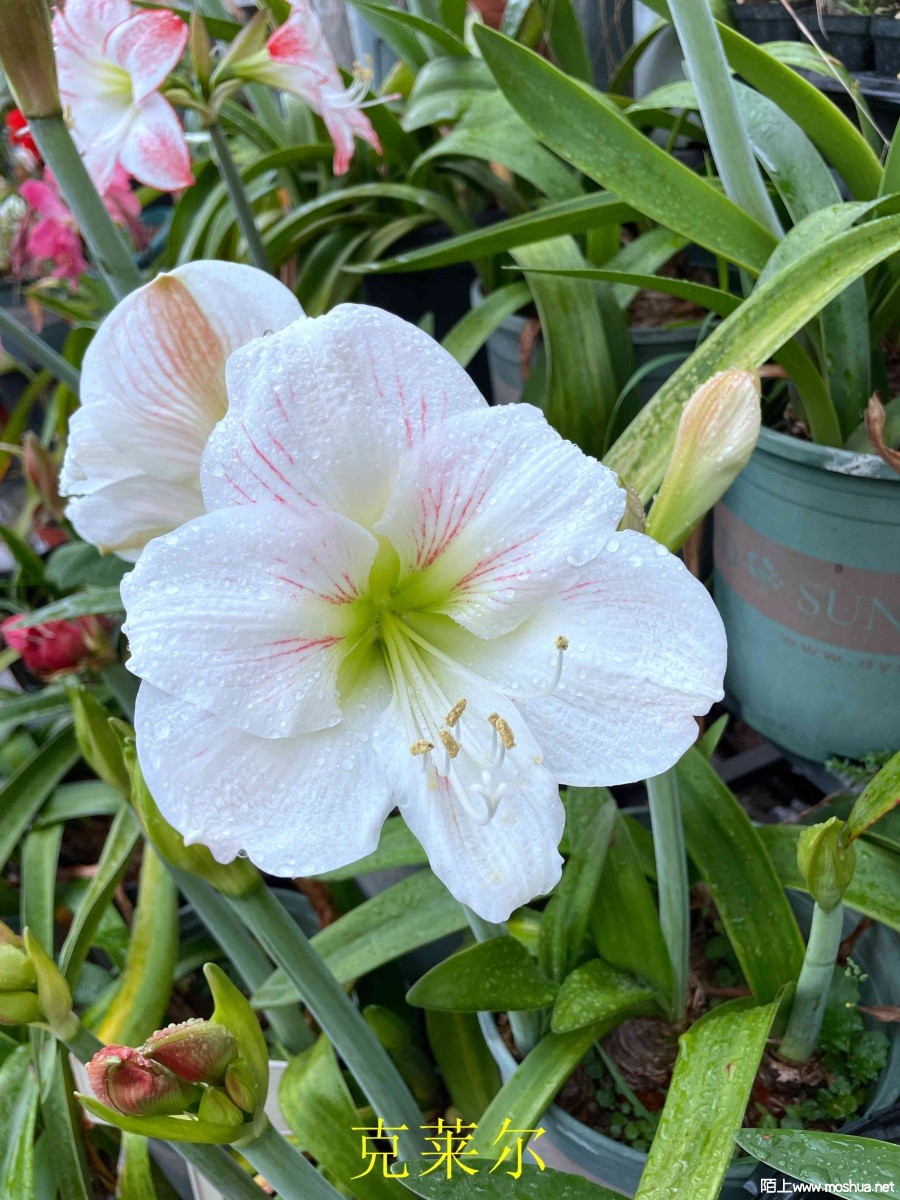 ������240404 (2).JPG