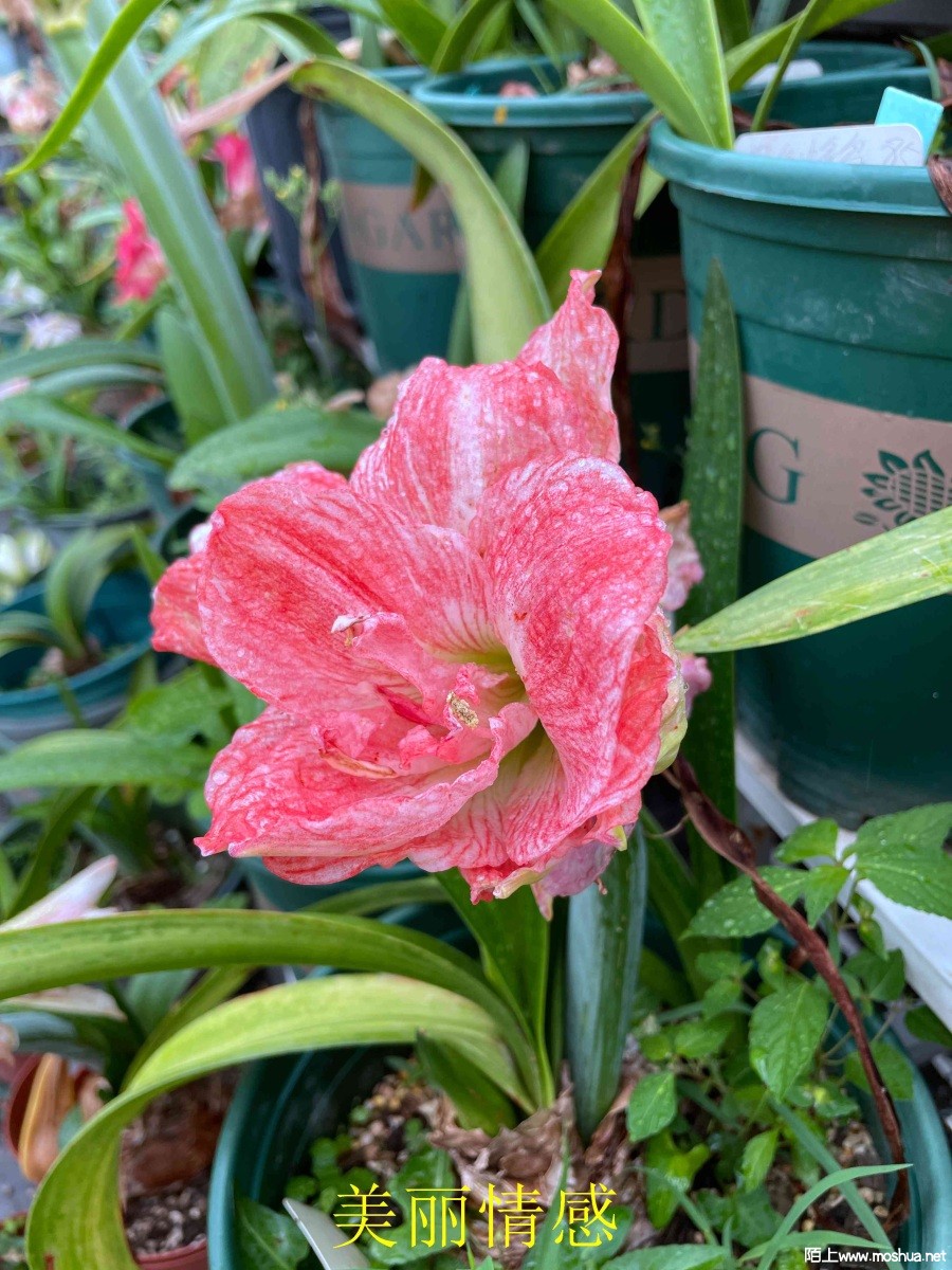 �������240404 (2).JPG