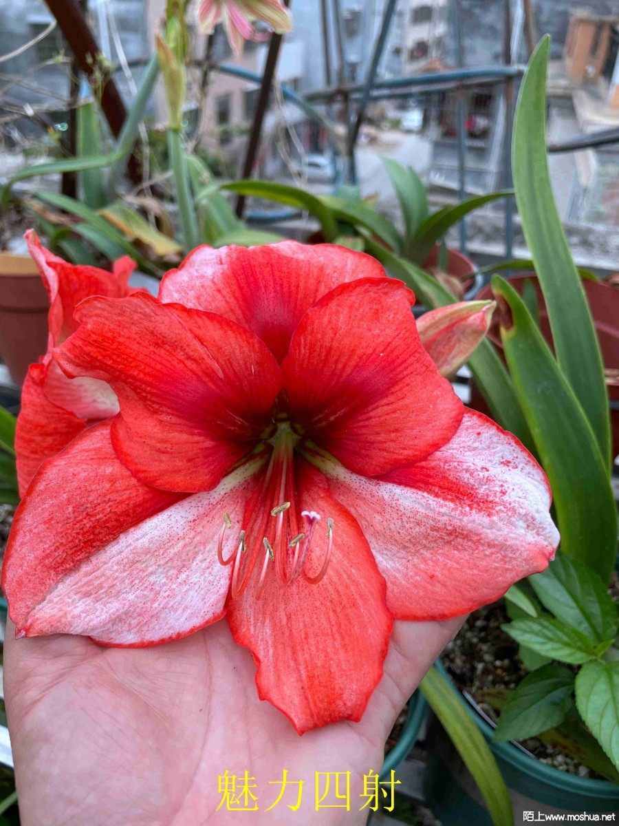 ��������240330 (2).JPG