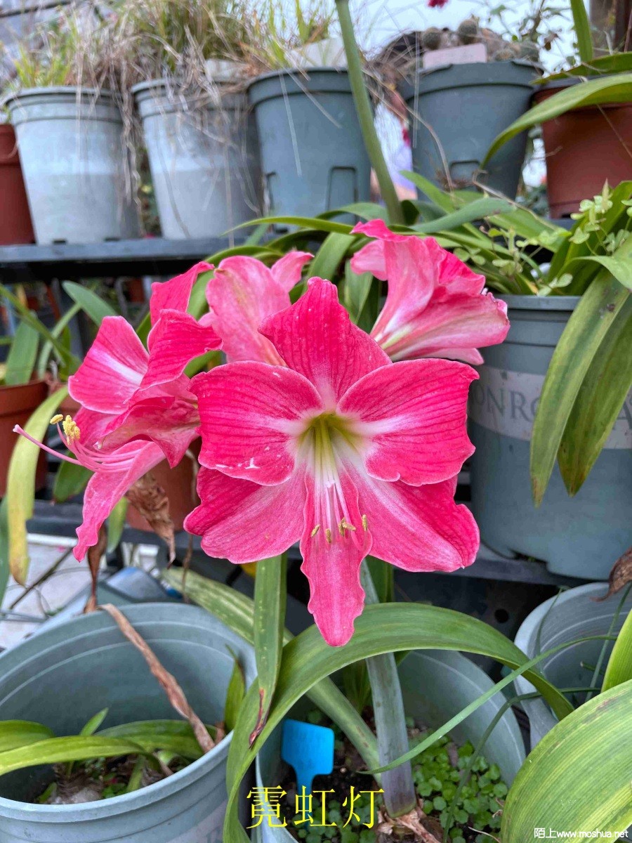 �޺��240330 (2).JPG