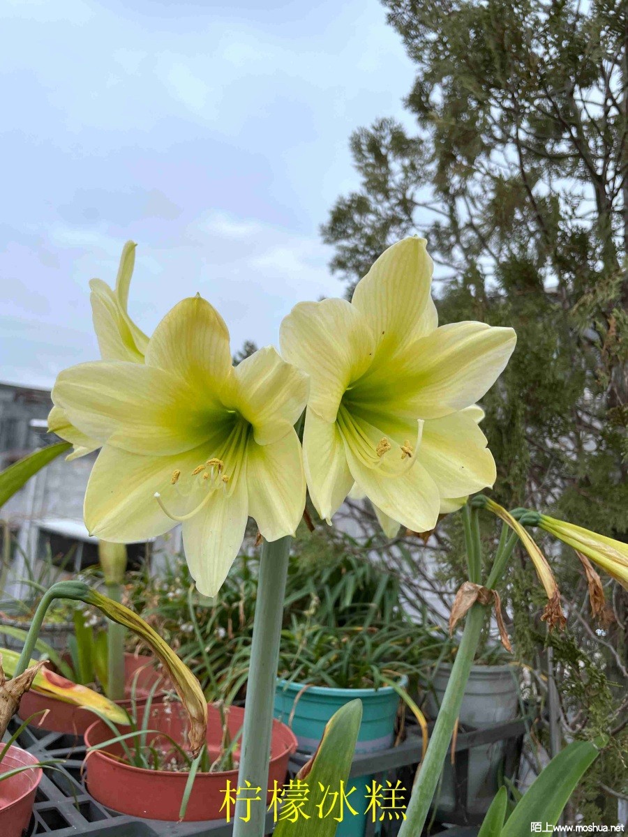 ���ʱ���240330 (2).JPG