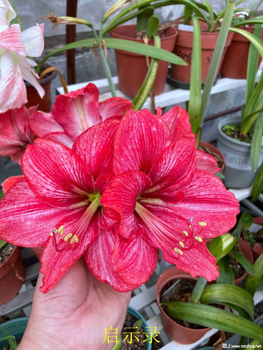 ��ʾ¼240404 (2).JPG