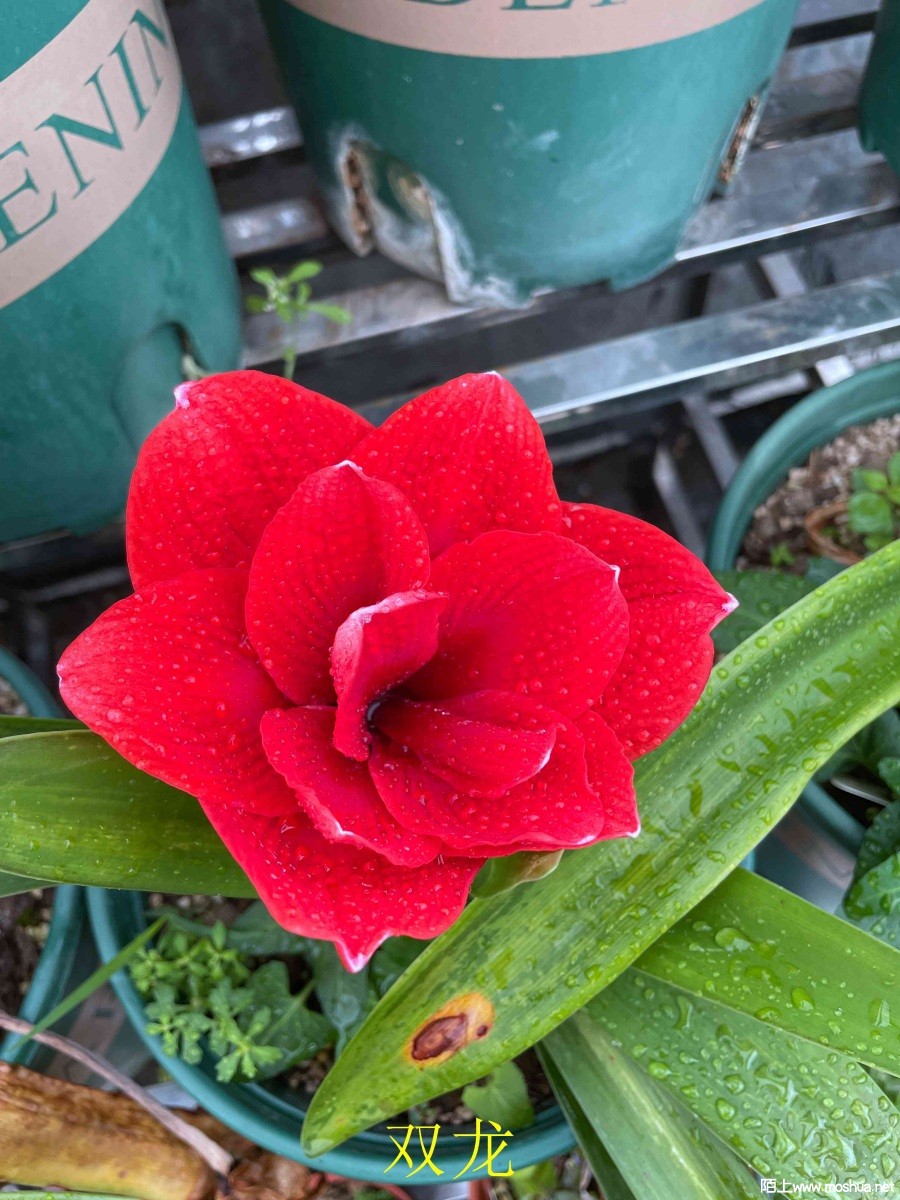 ˫��240404 (2).JPG