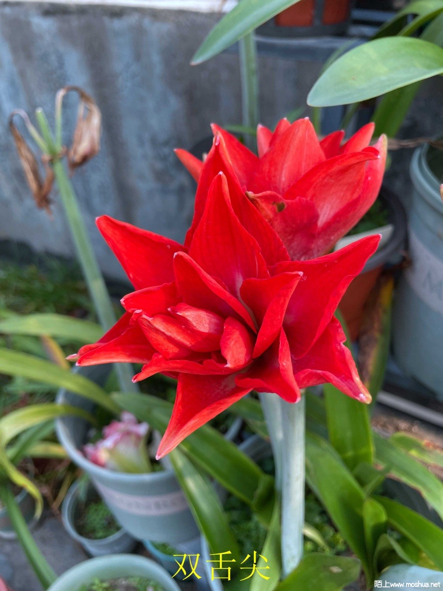 ˫���240331 (2).JPG