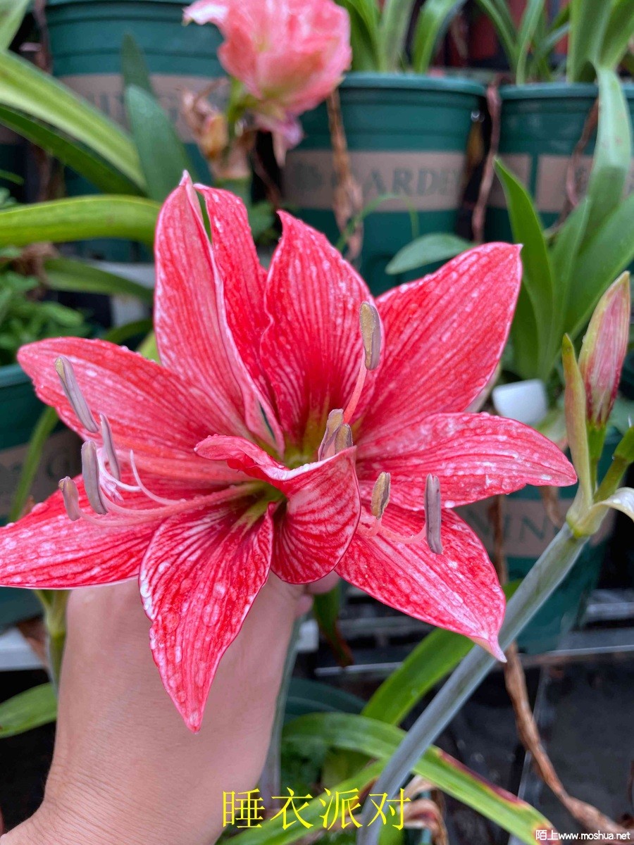 ˯���ɶ�240404 (2).JPG