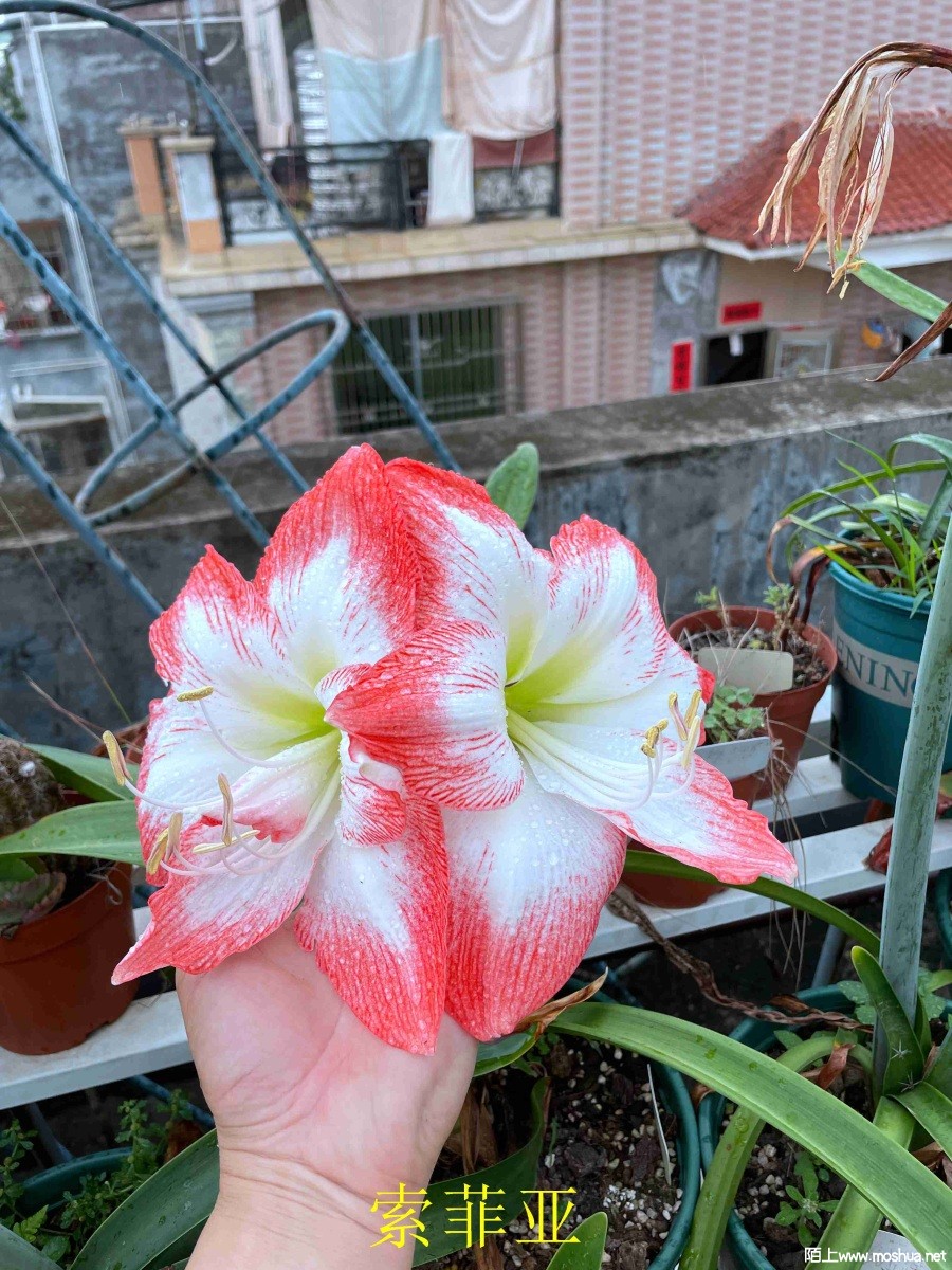 ������240404 (2).JPG