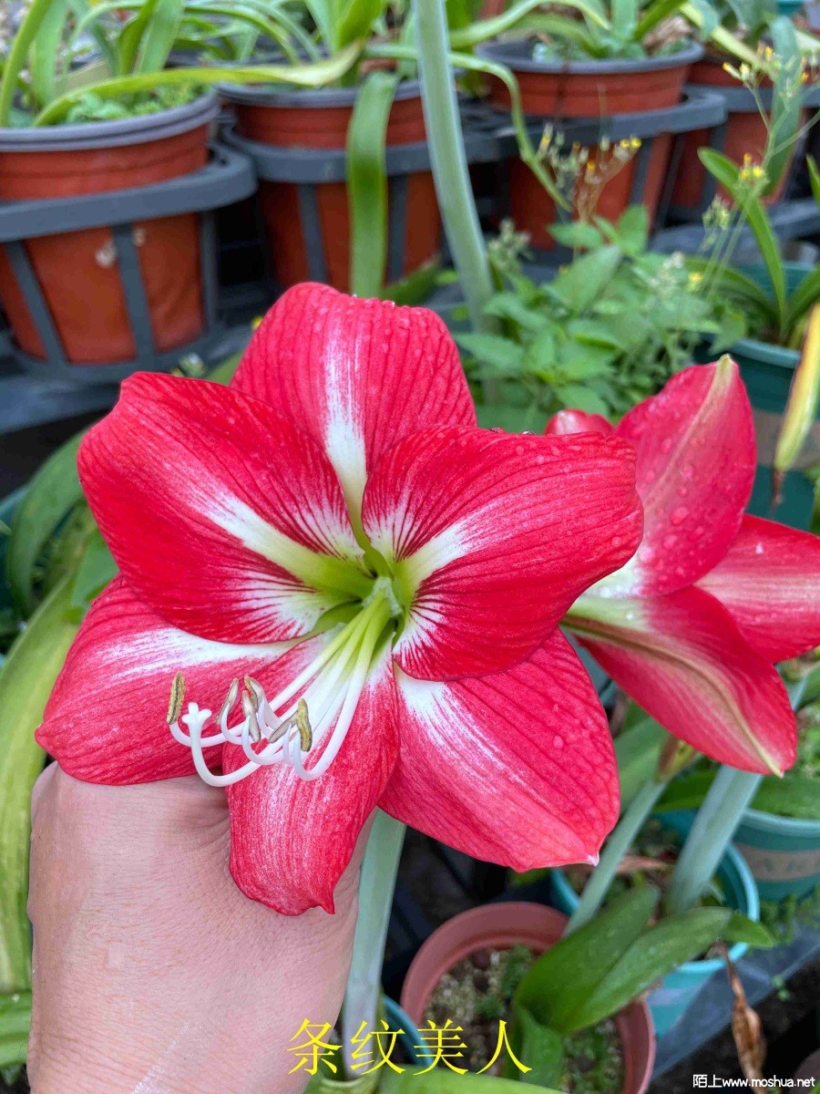 ��������240404 (2).JPG