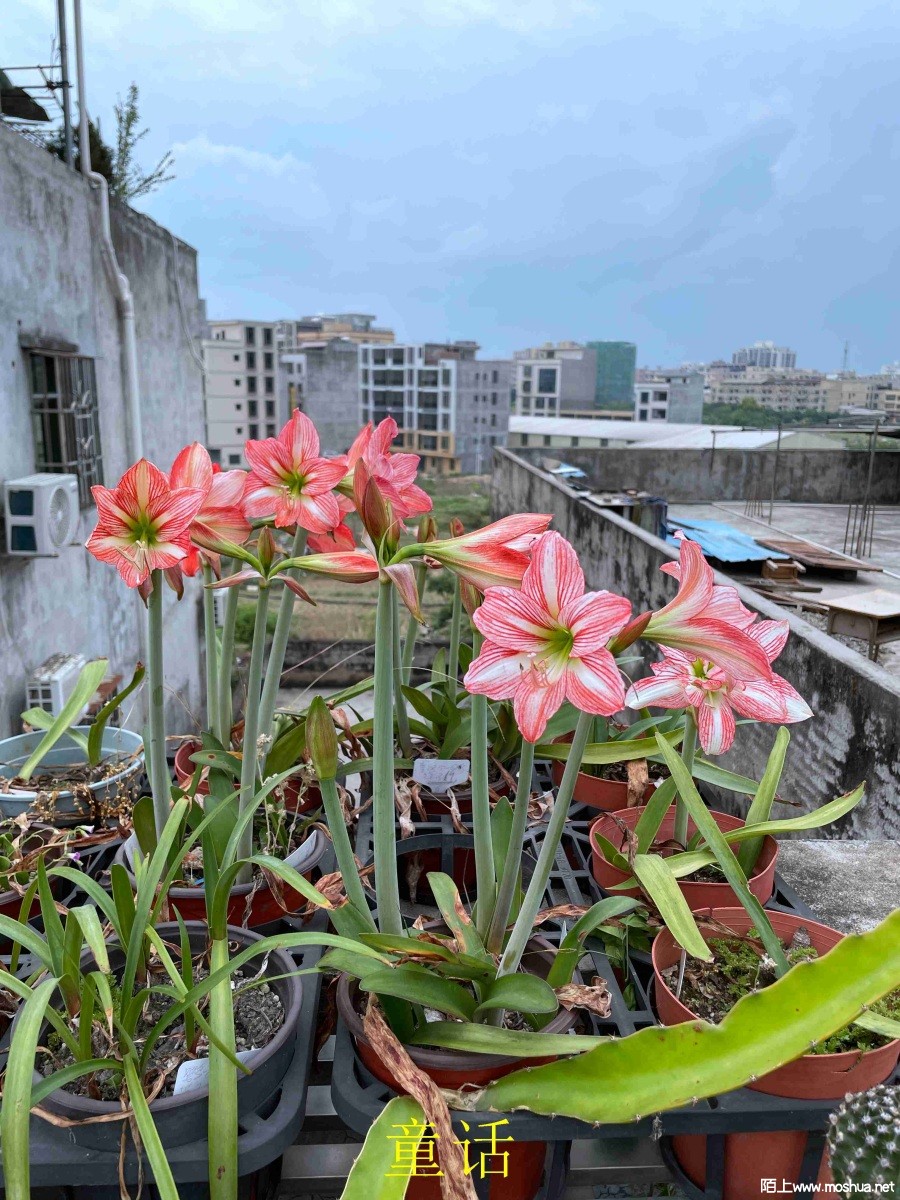 ͯ��240406 (2).JPG