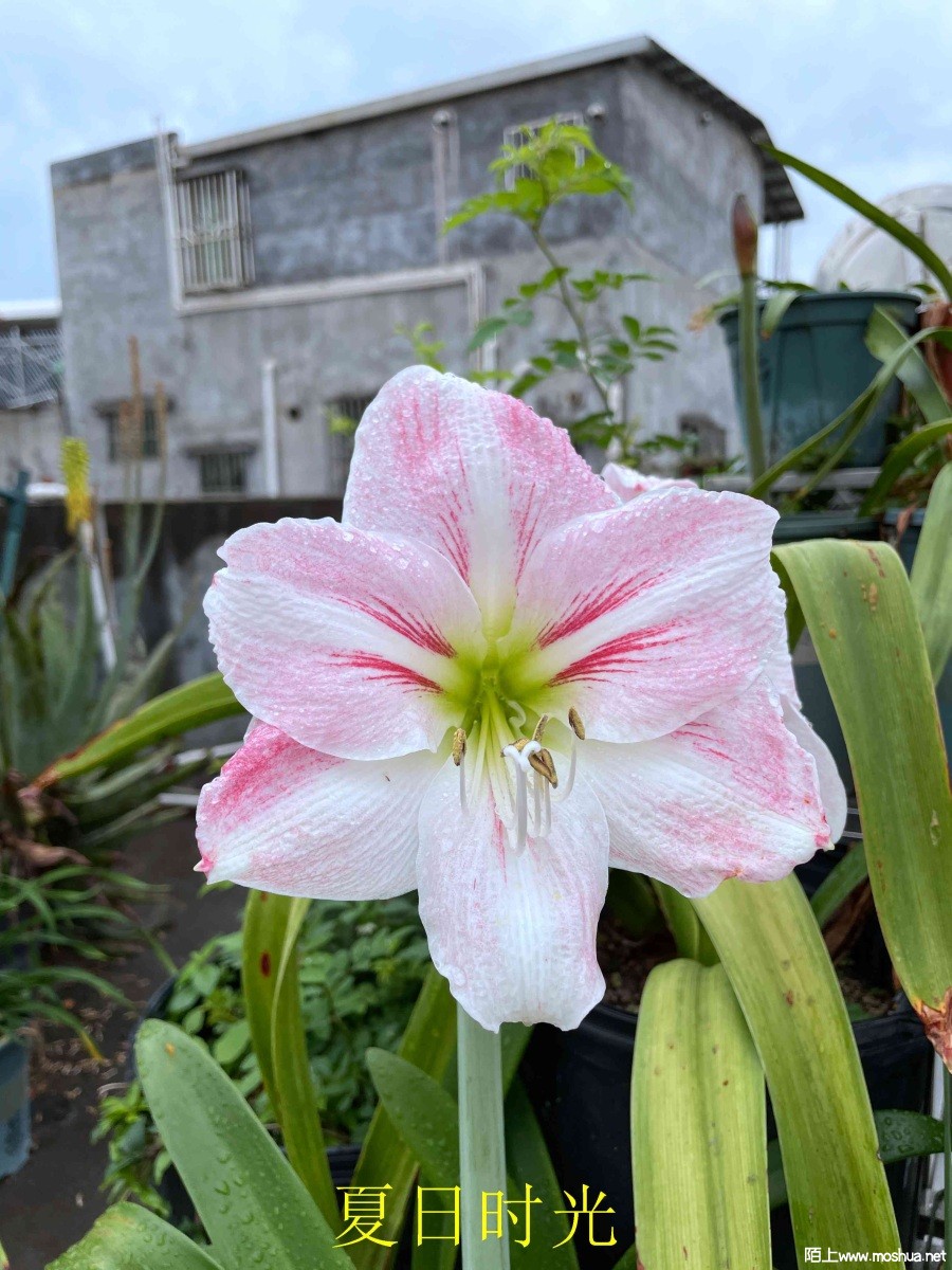 ����ʱ��240404 (2).JPG