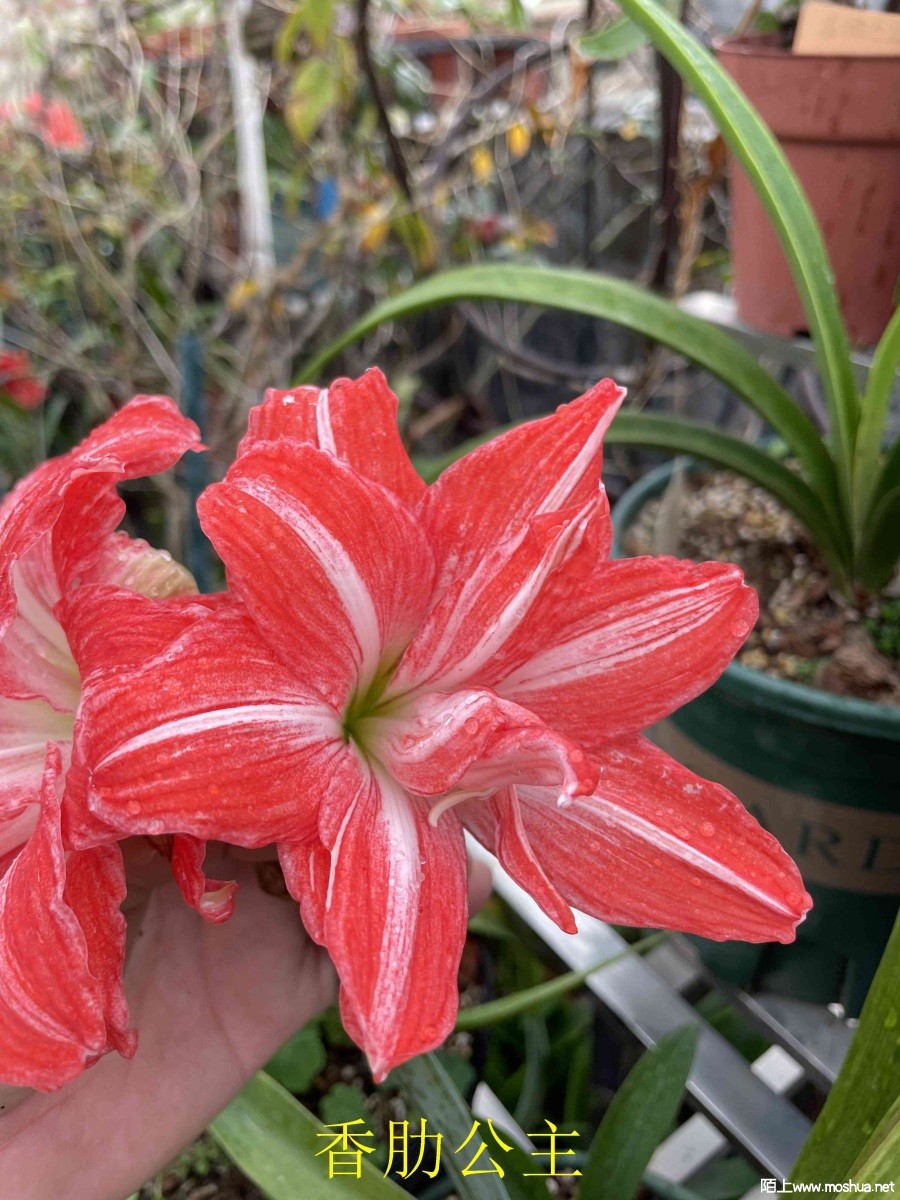 ���߹���240404 (2).JPG