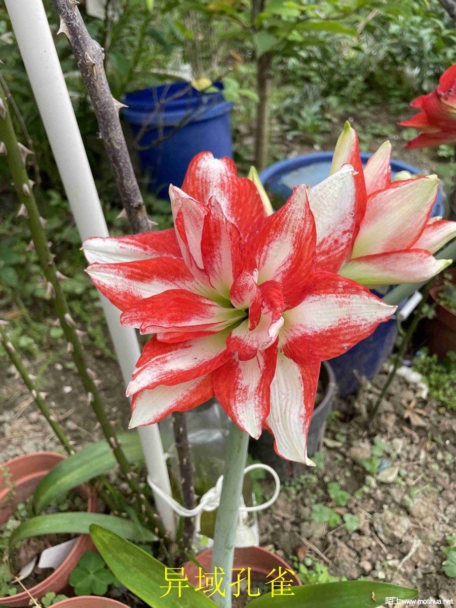 �����ȸ240404 (2).JPG