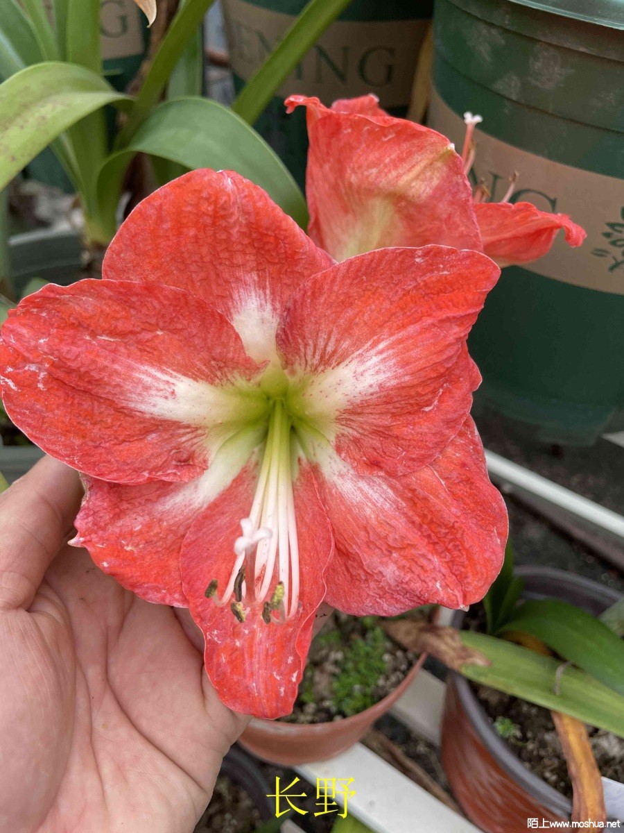 ��Ұ240330 (2).JPG