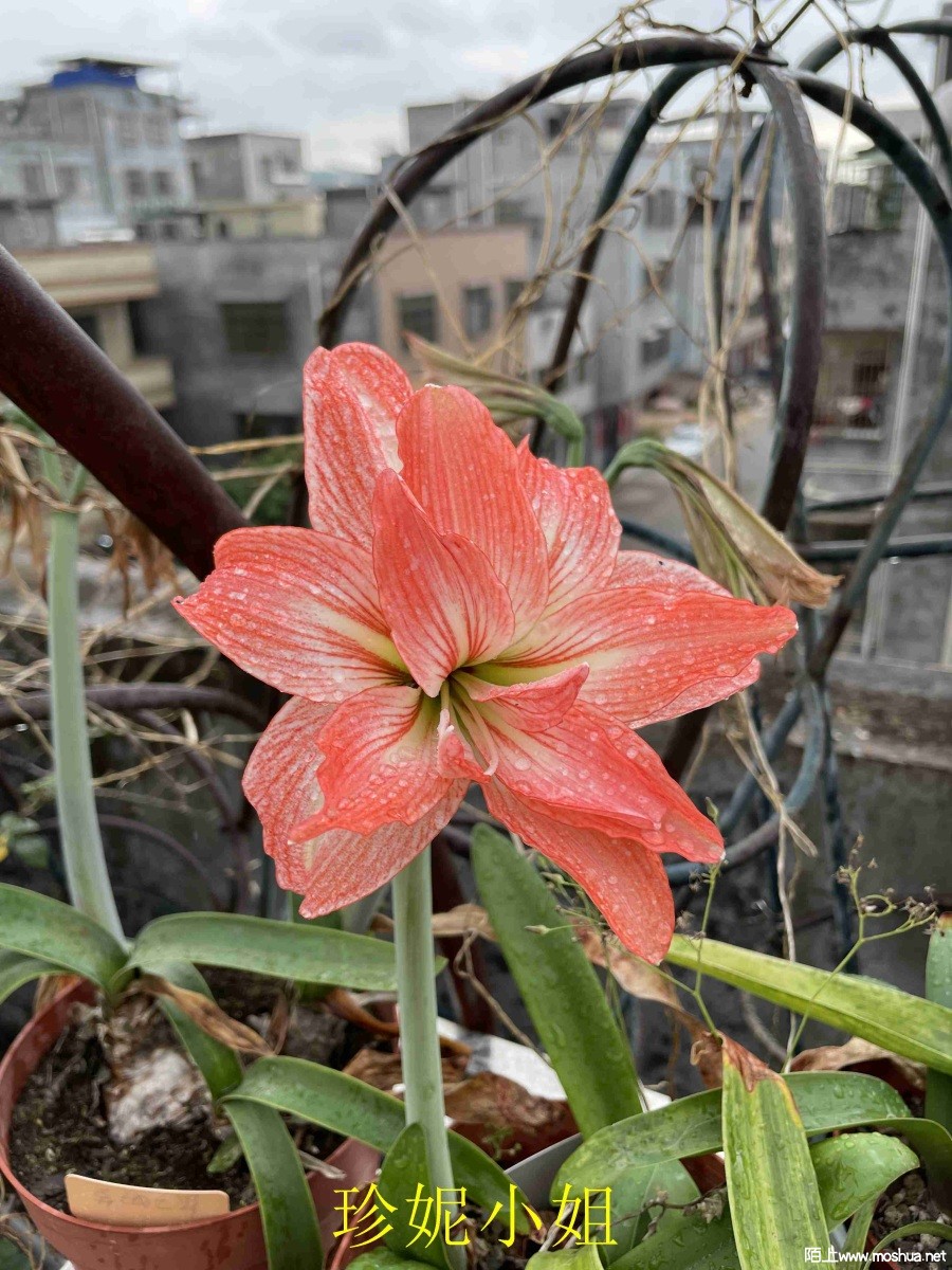 ����С��240404 (2).JPG