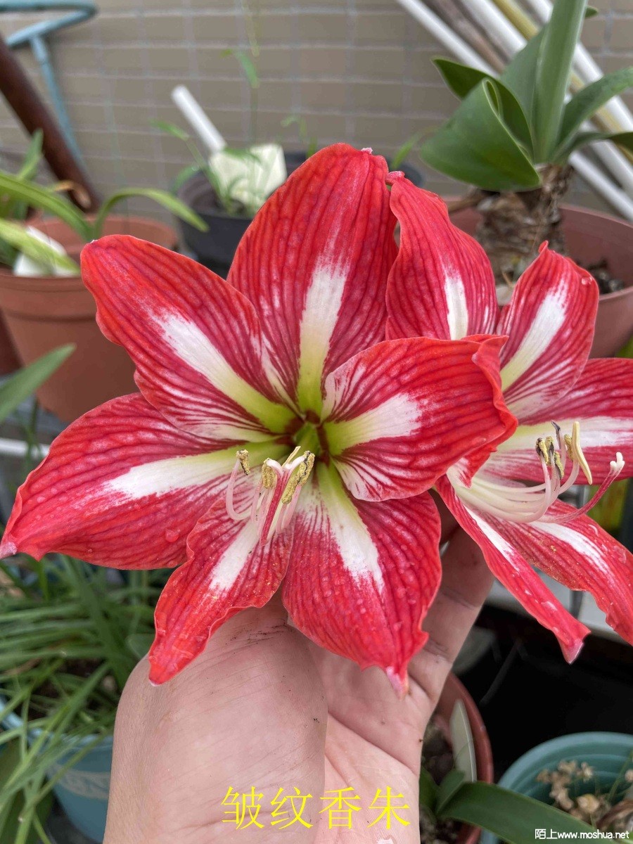 ��������240404 (2).JPG