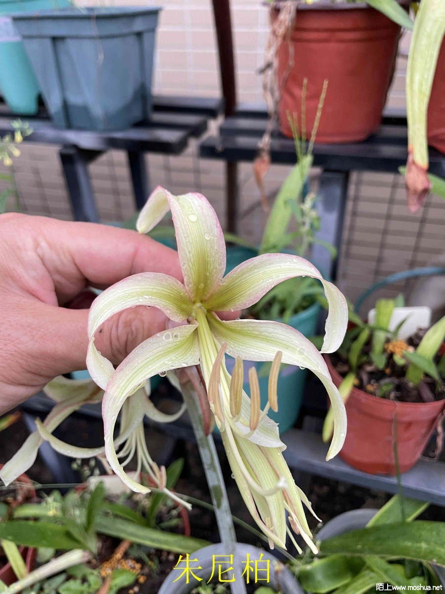 �����240406 (2).JPG