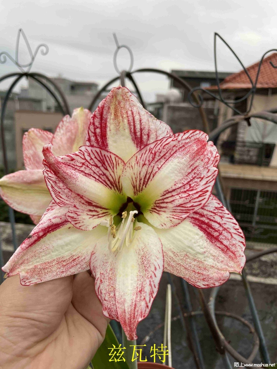 ������240330 (2).JPG