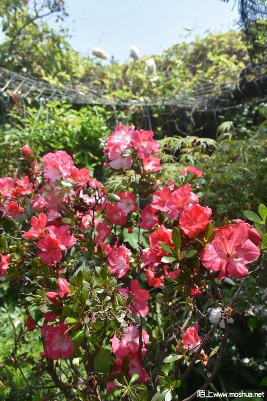 DSC_0662890370662.JPG