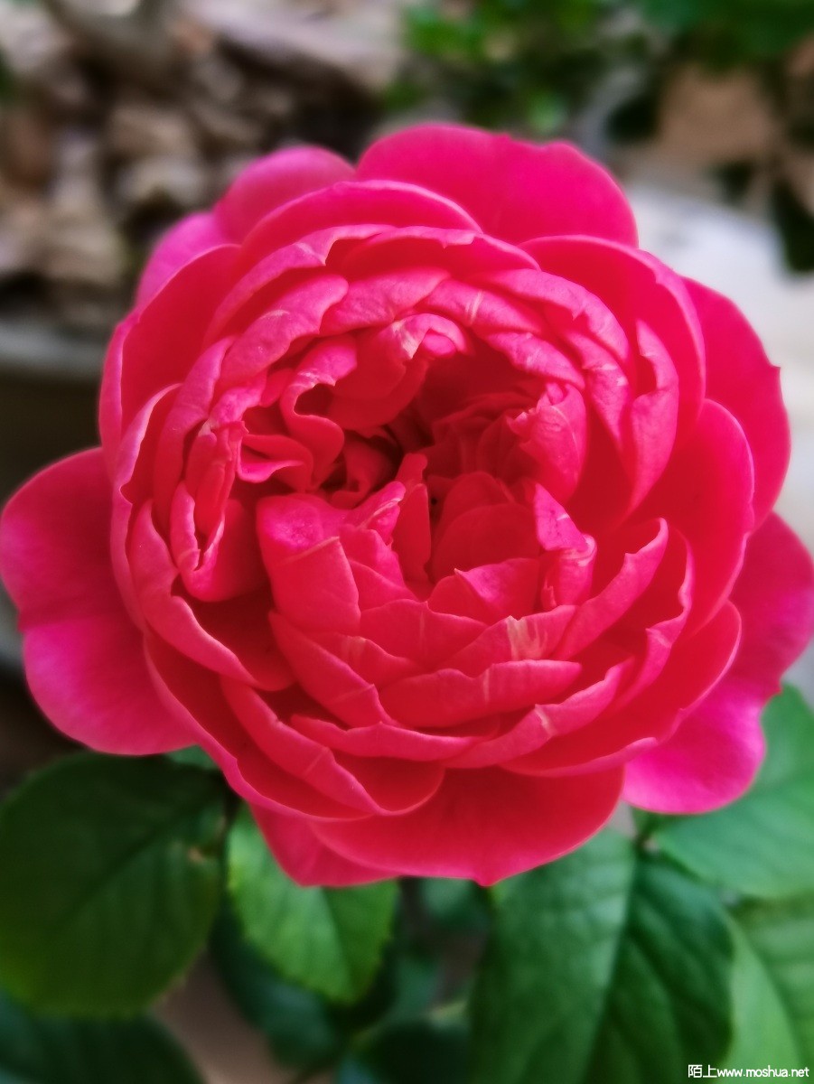 1f07859fc05fd9dfb918f05dbd816f6.jpg