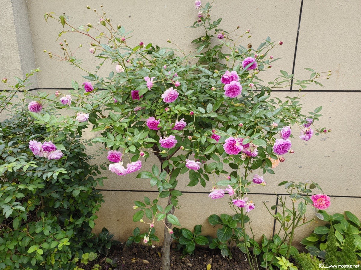 10��31������