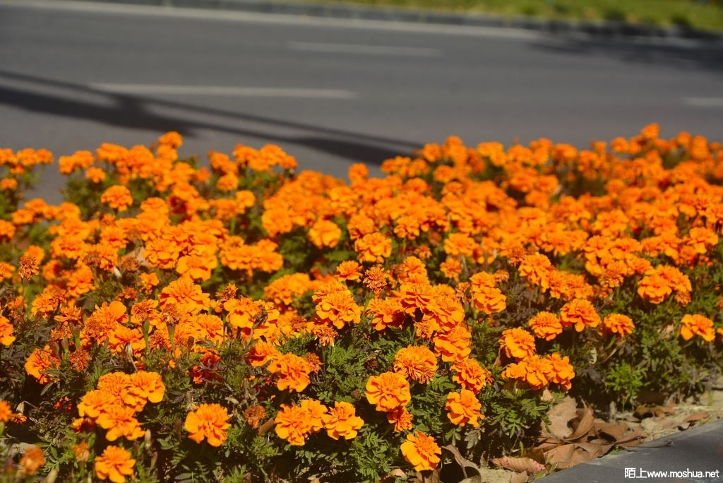 _DSC14071207980138.JPG