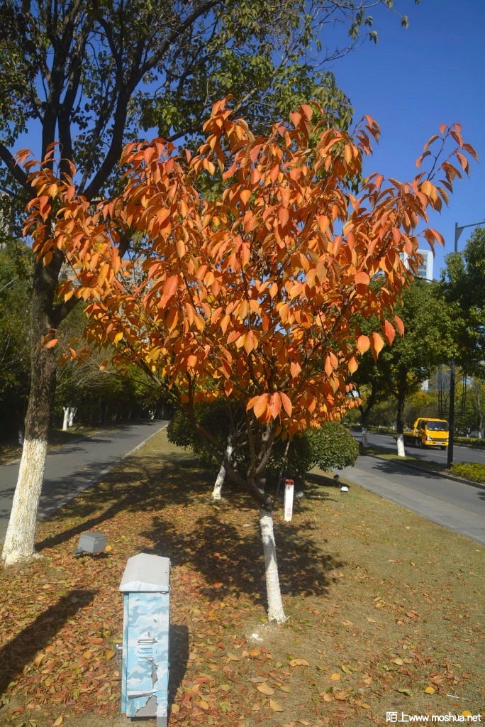 _DSC13221207130053.JPG