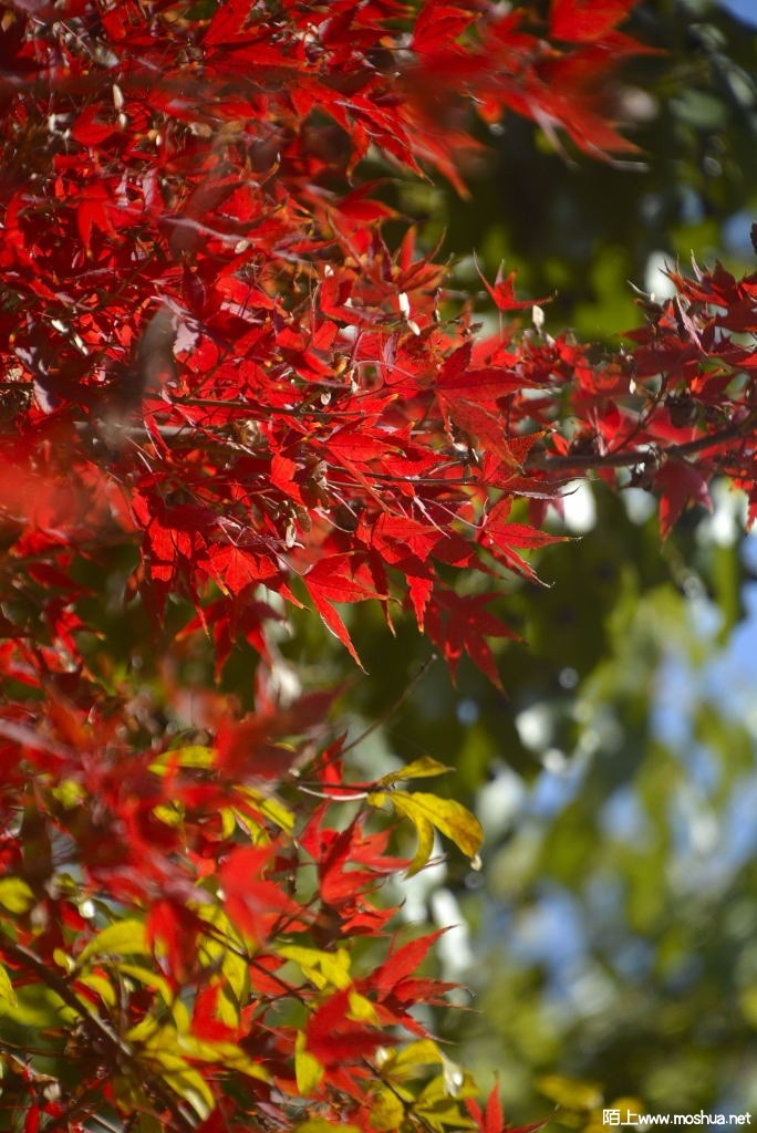 _DSC13141207050045.JPG