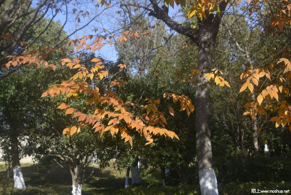 _DSC22051244450053.JPG