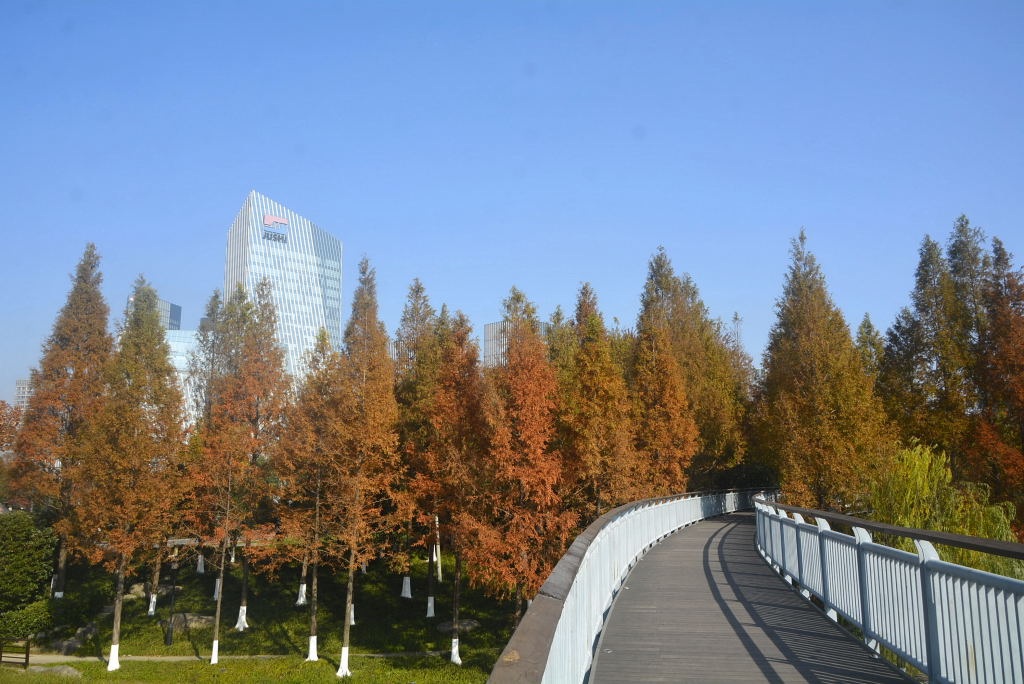 _DSC18881236460071.JPG