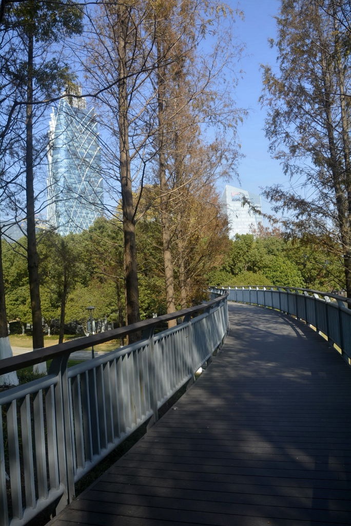 _DSC18331235910016.JPG