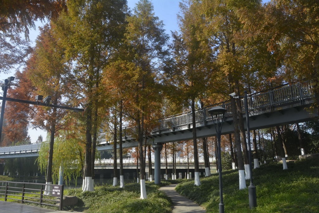 _DSC19991237570182.JPG