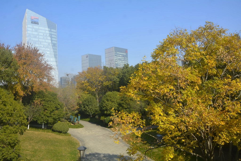 _DSC18971236550080.JPG