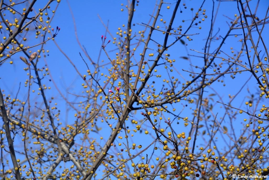 _DSC21711244110019.JPG