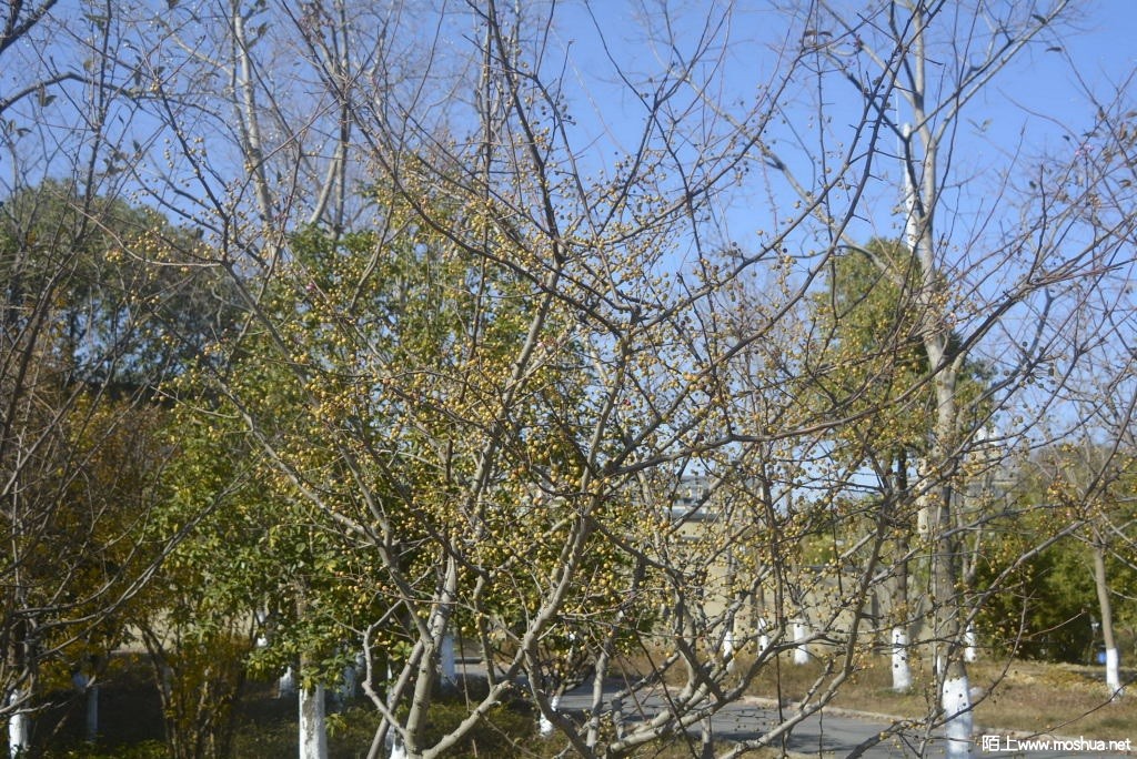 _DSC21681244080016.JPG