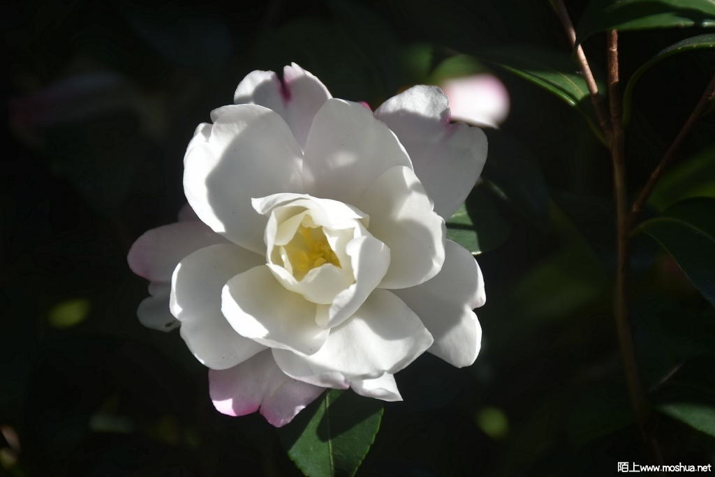 DSC_00231265000023.JPG