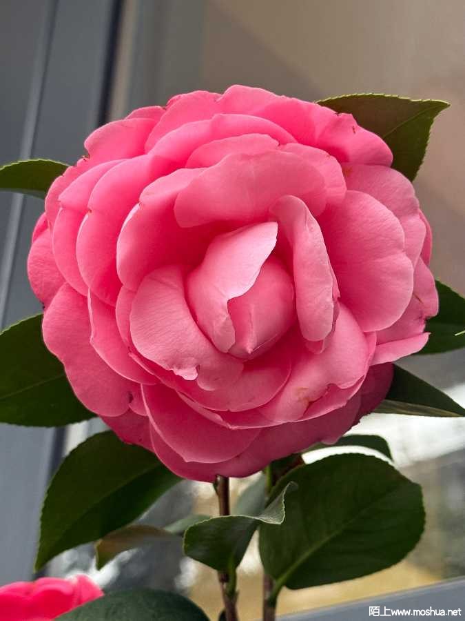 IMG_0697.jpeg